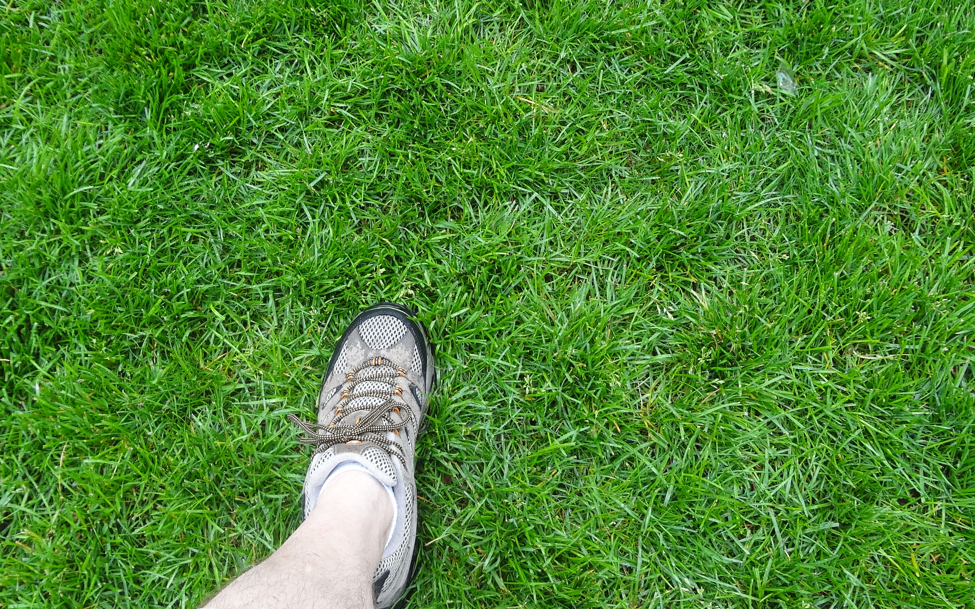 Grass field 5-28-2013