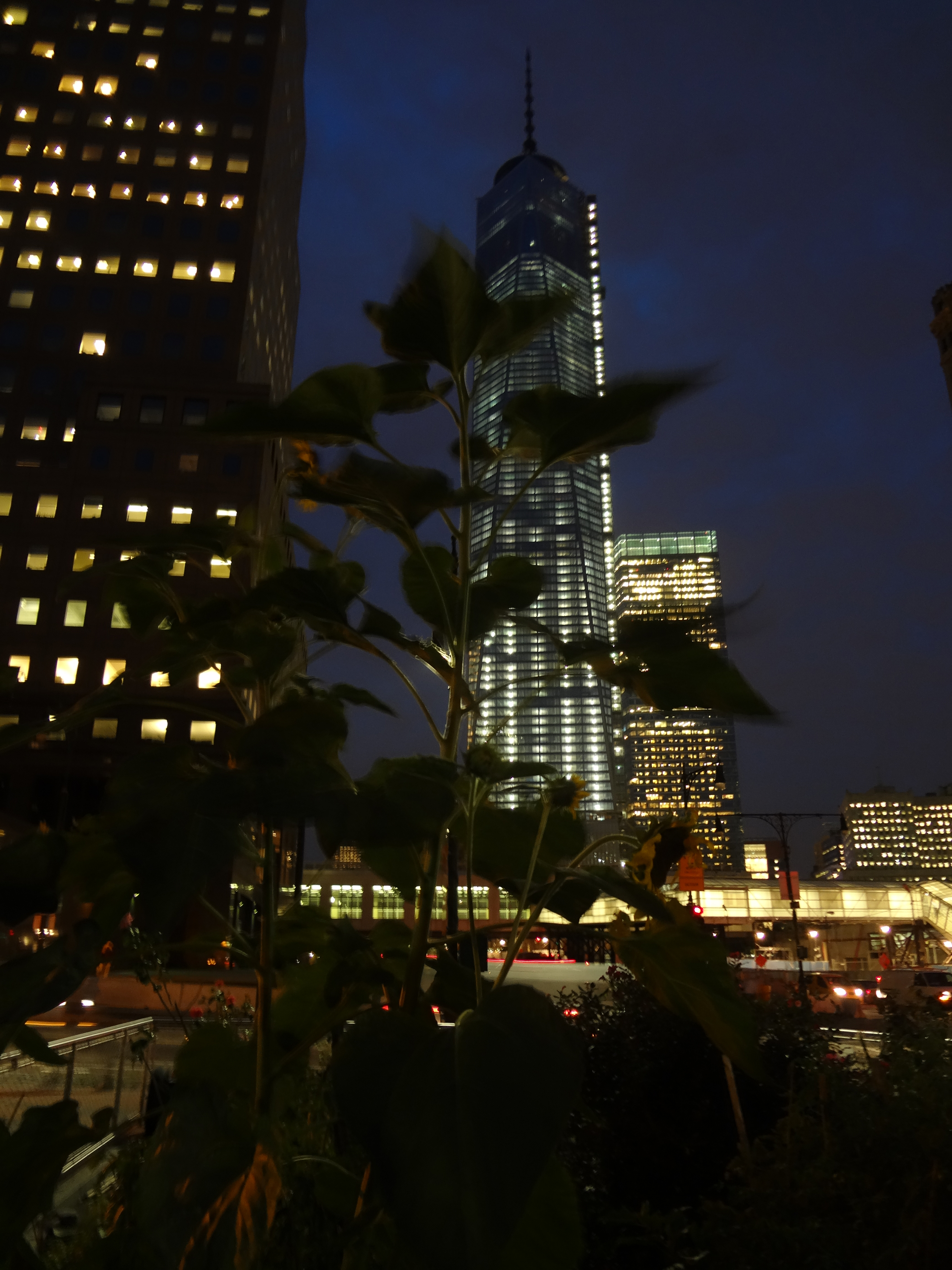 WTC at night