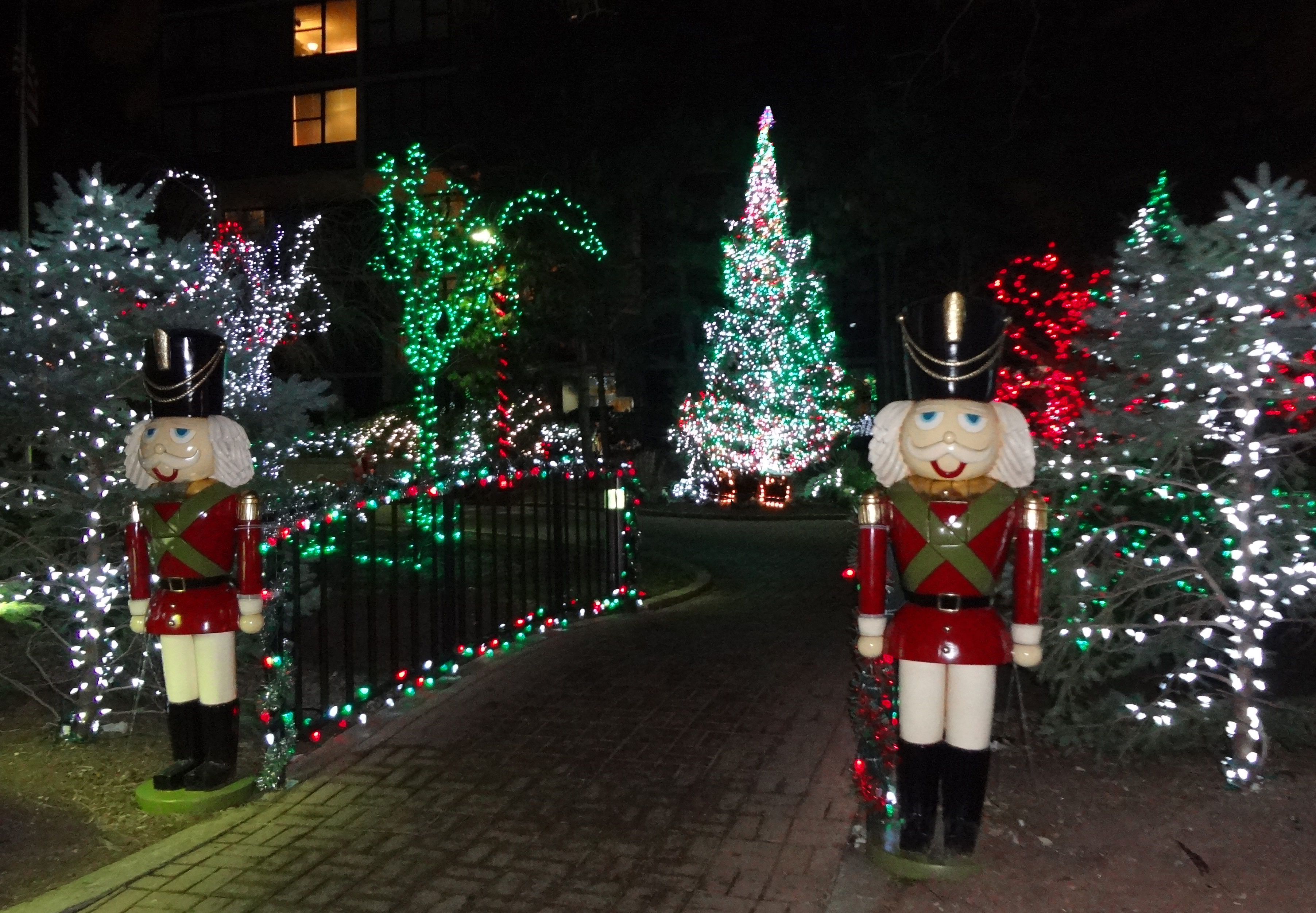 Gateway Plaza Christmas tree lights