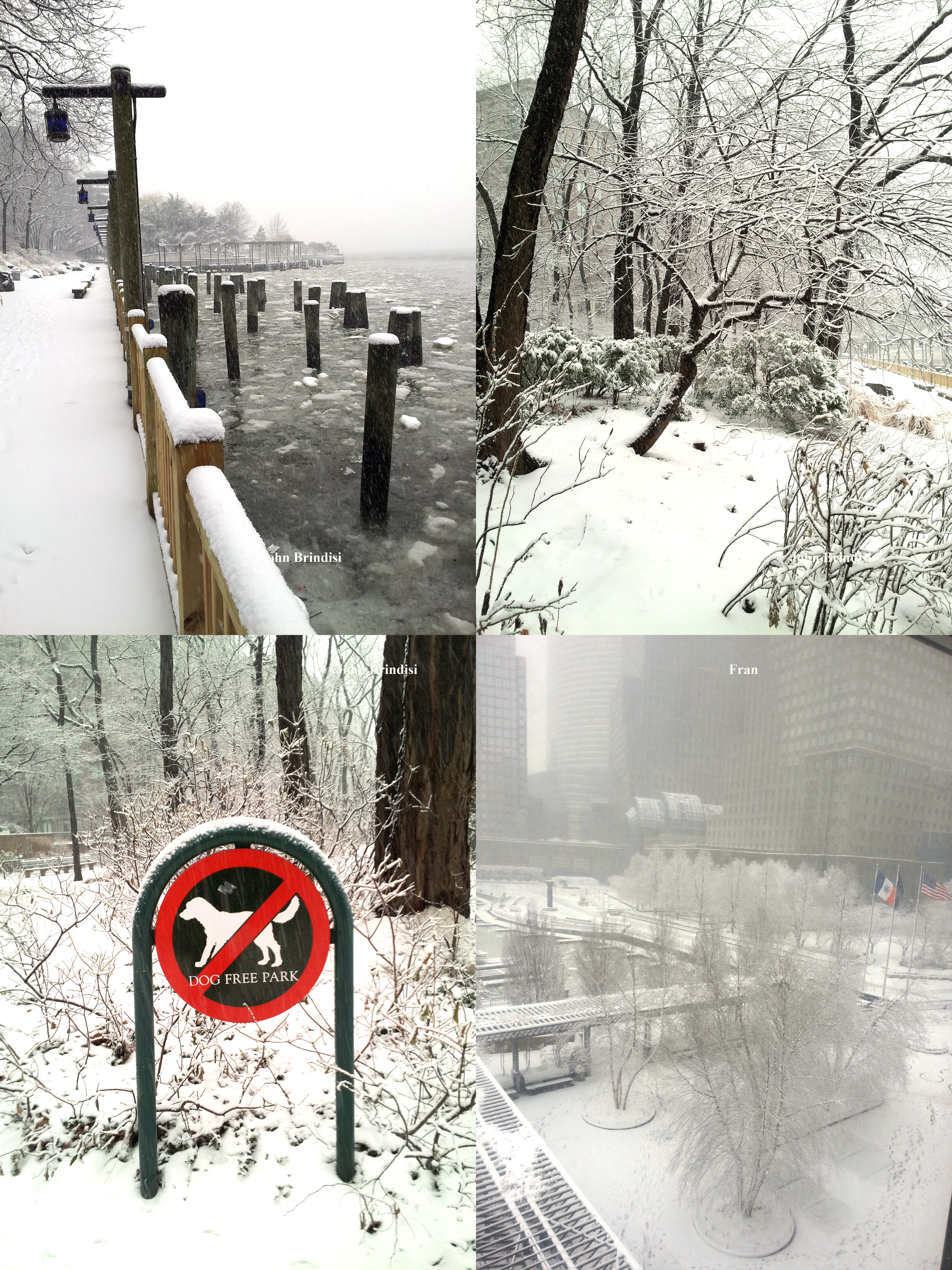 Snow photos 2-3-2014