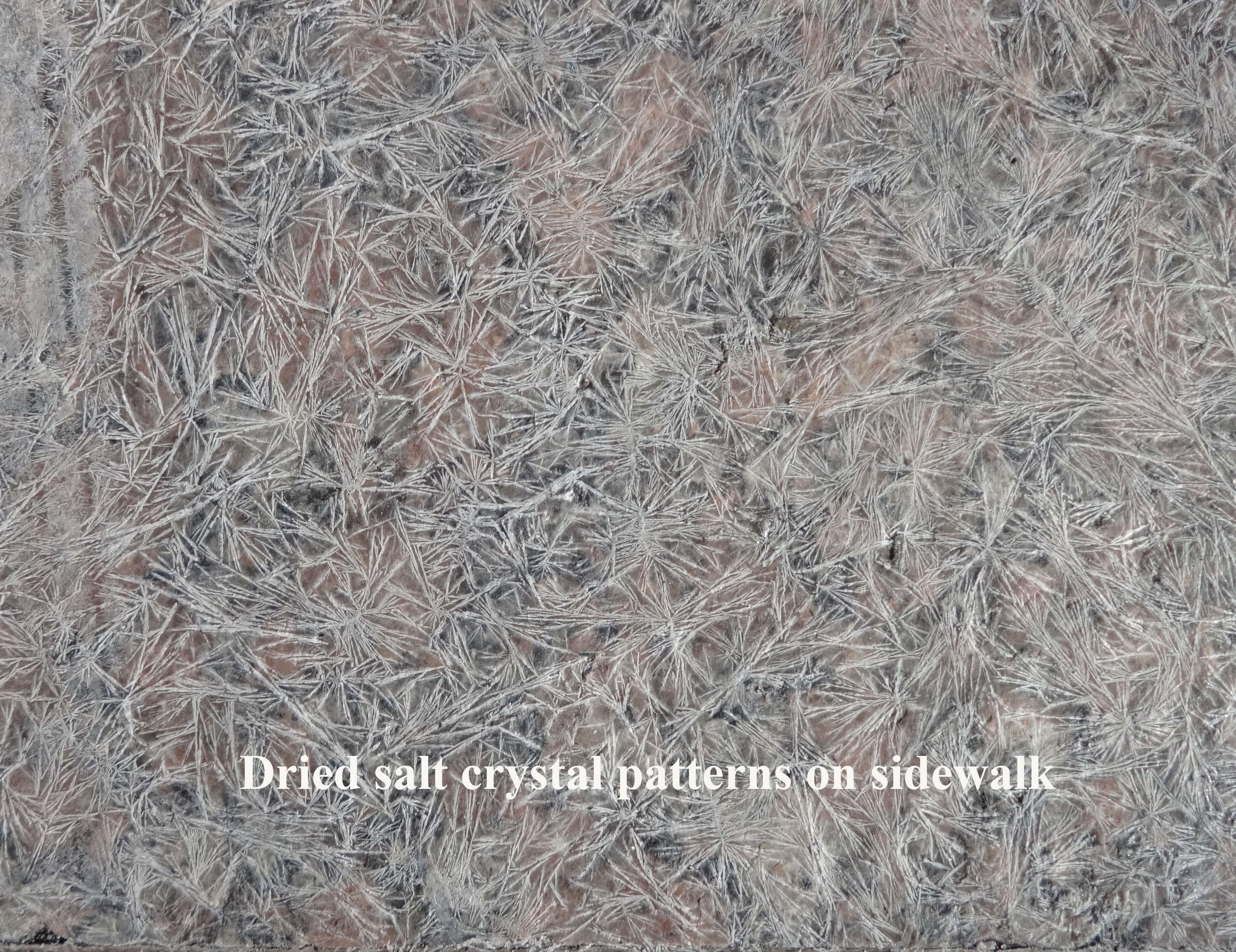 salt crystal patterns
