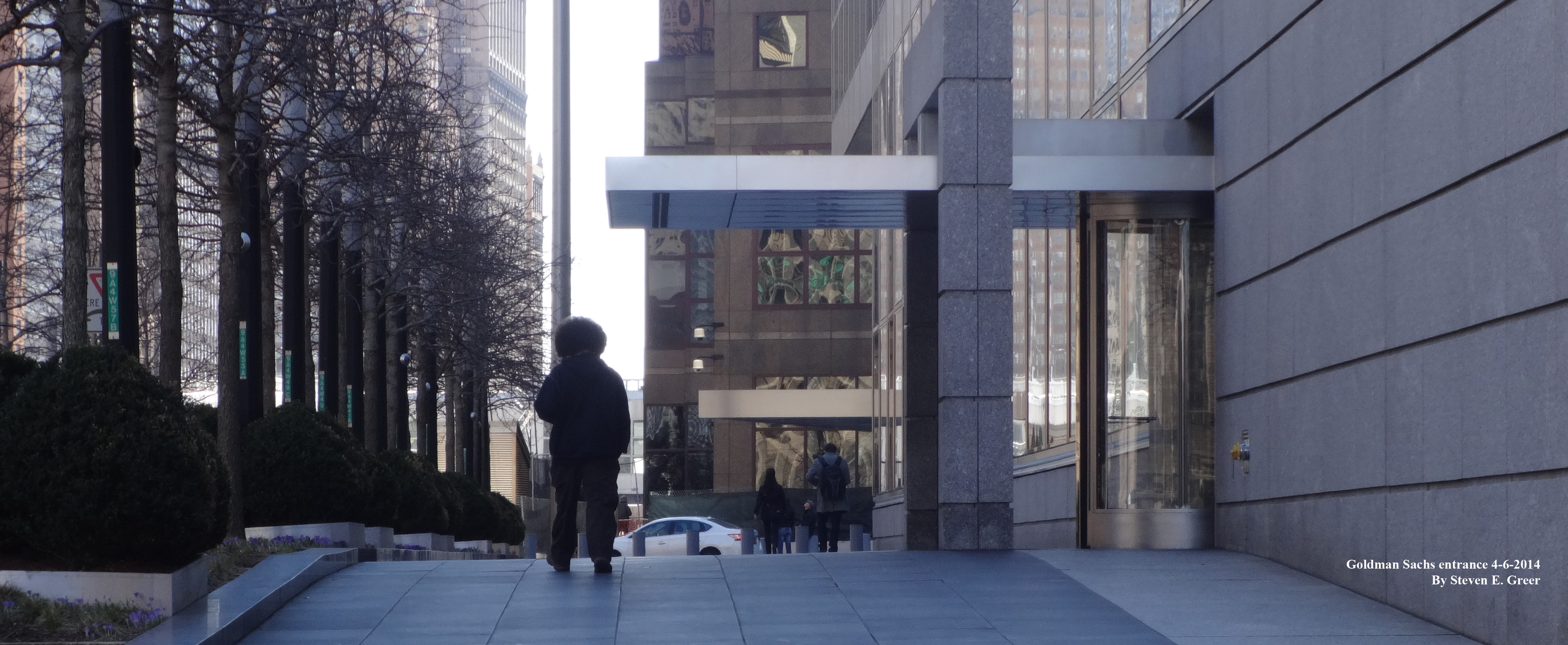 Goldman Sachs entrance with Afro