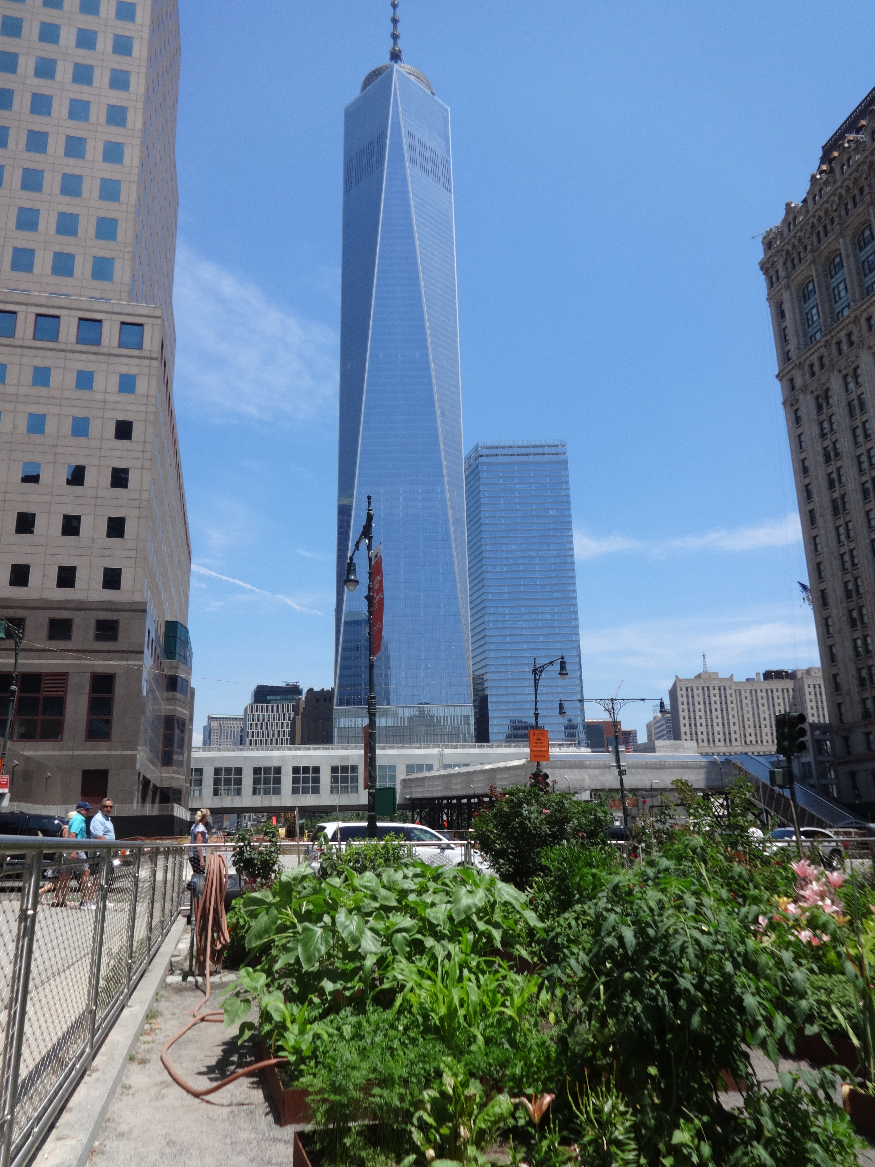 Garden and Freedom Tower 6-29-2014