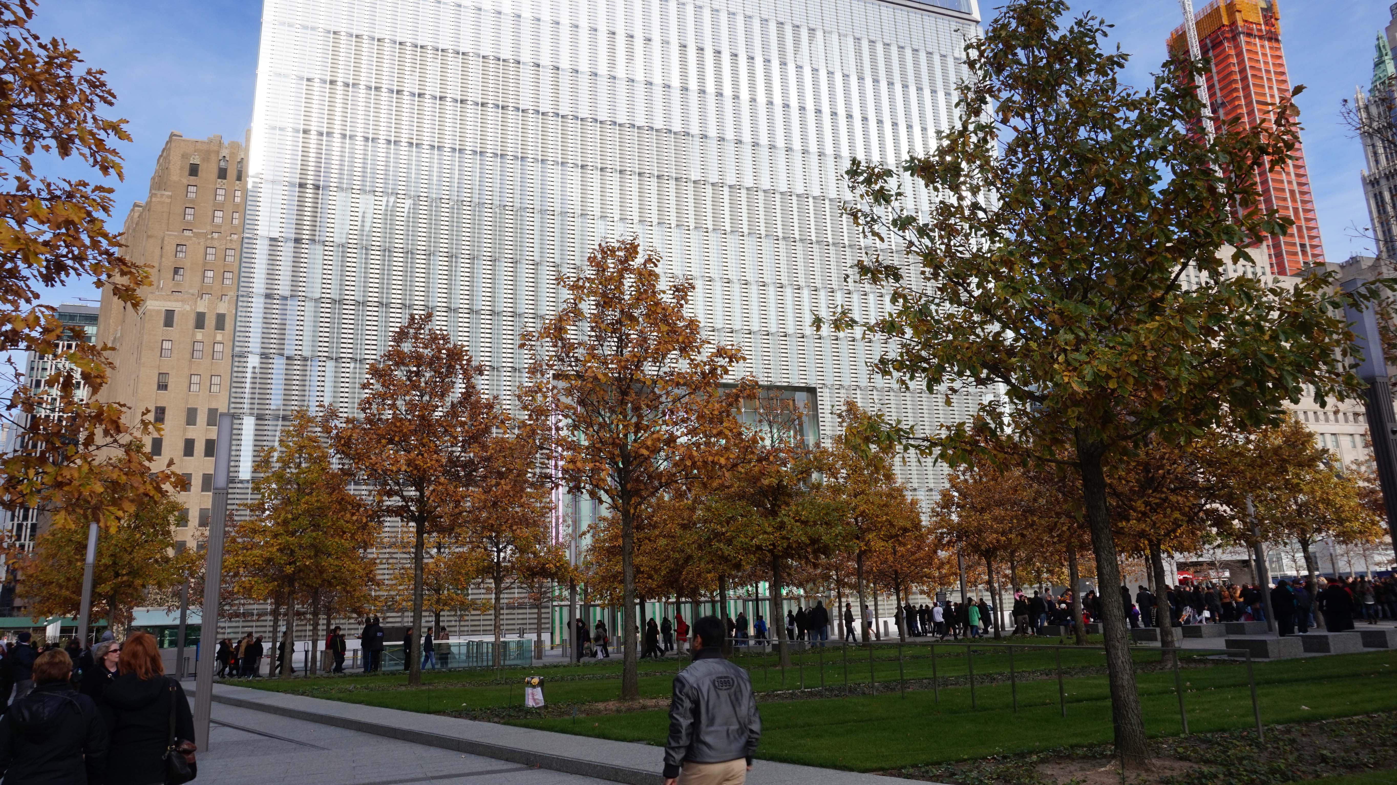 One World Trade Center through oak trees