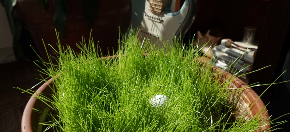 cropped-Grass-planter-with-golf-ball-low.jpg