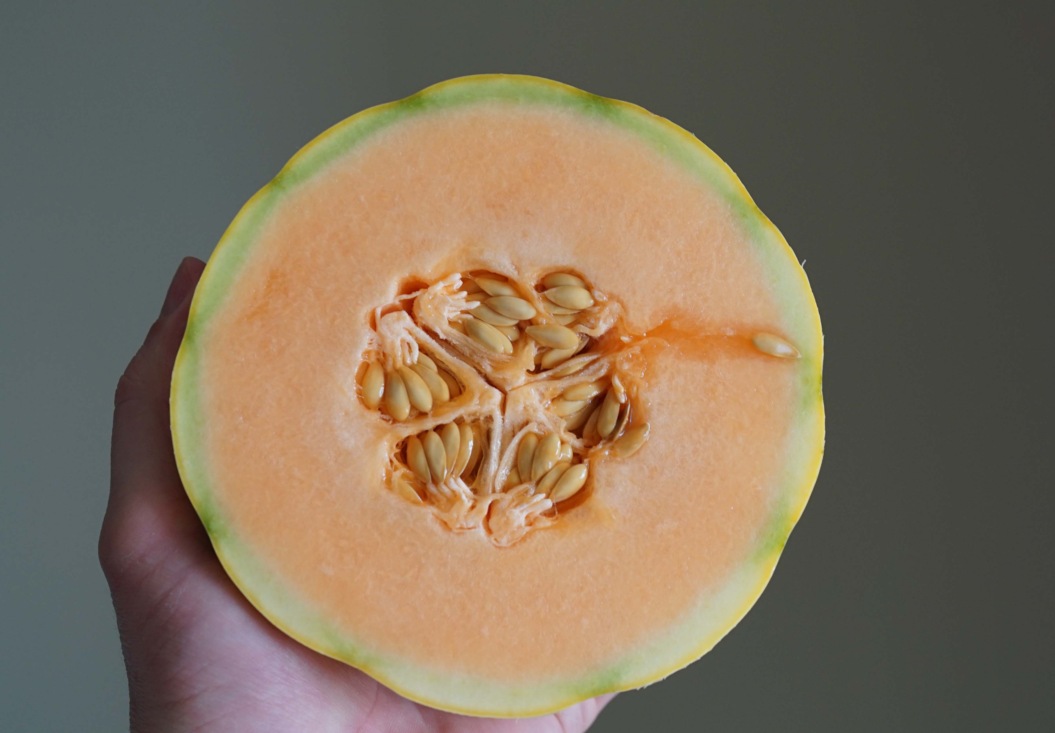 Cavaillon melon cut Le District
