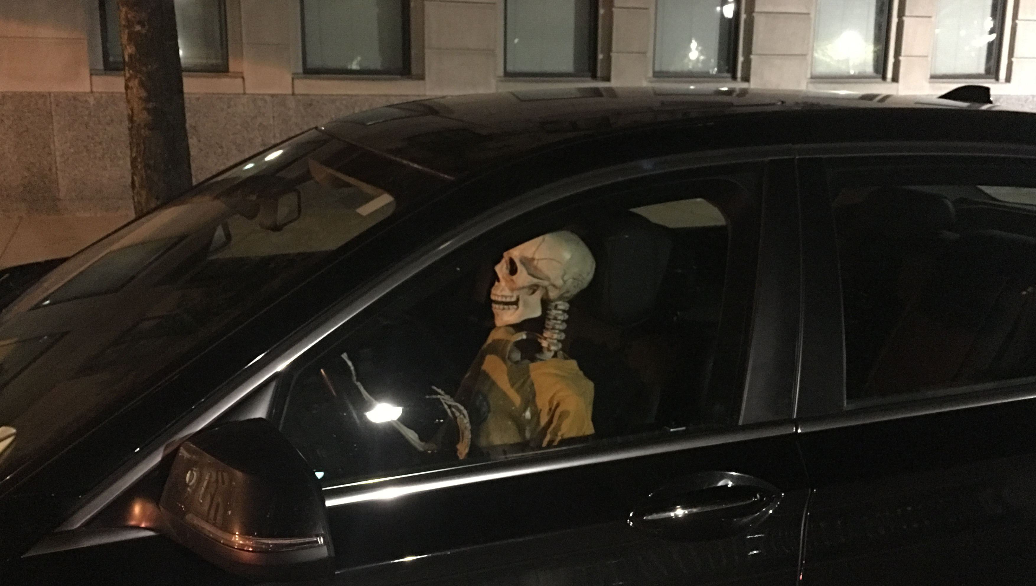 Skeleton driver 2