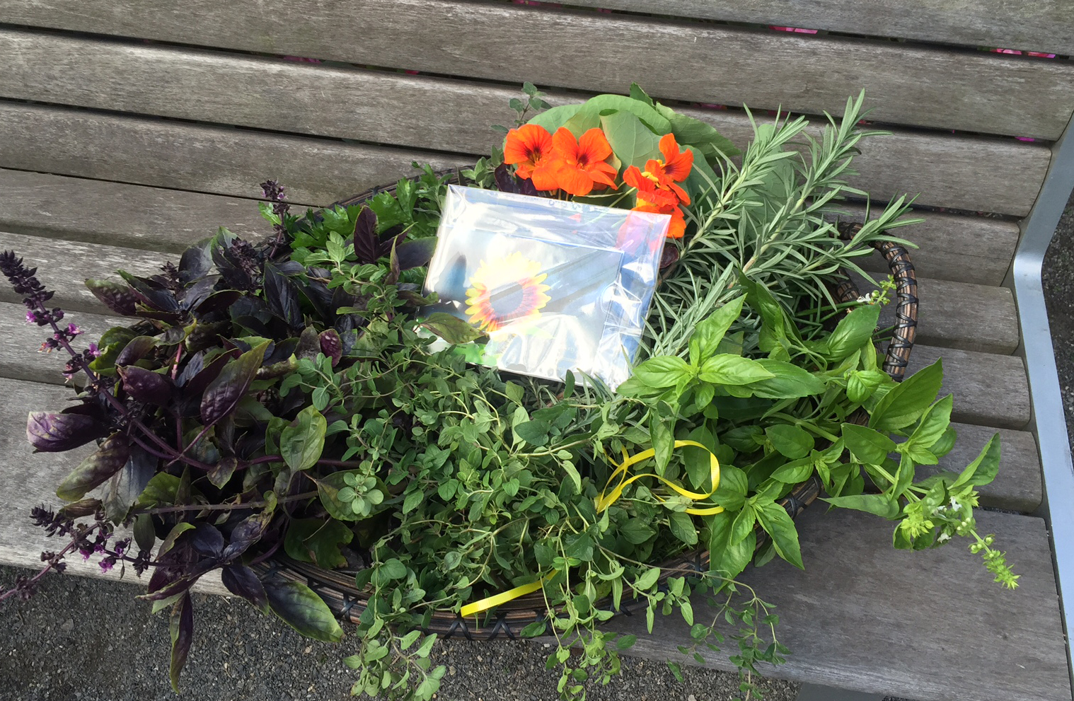 garden herbs to Le District 10-26-2015