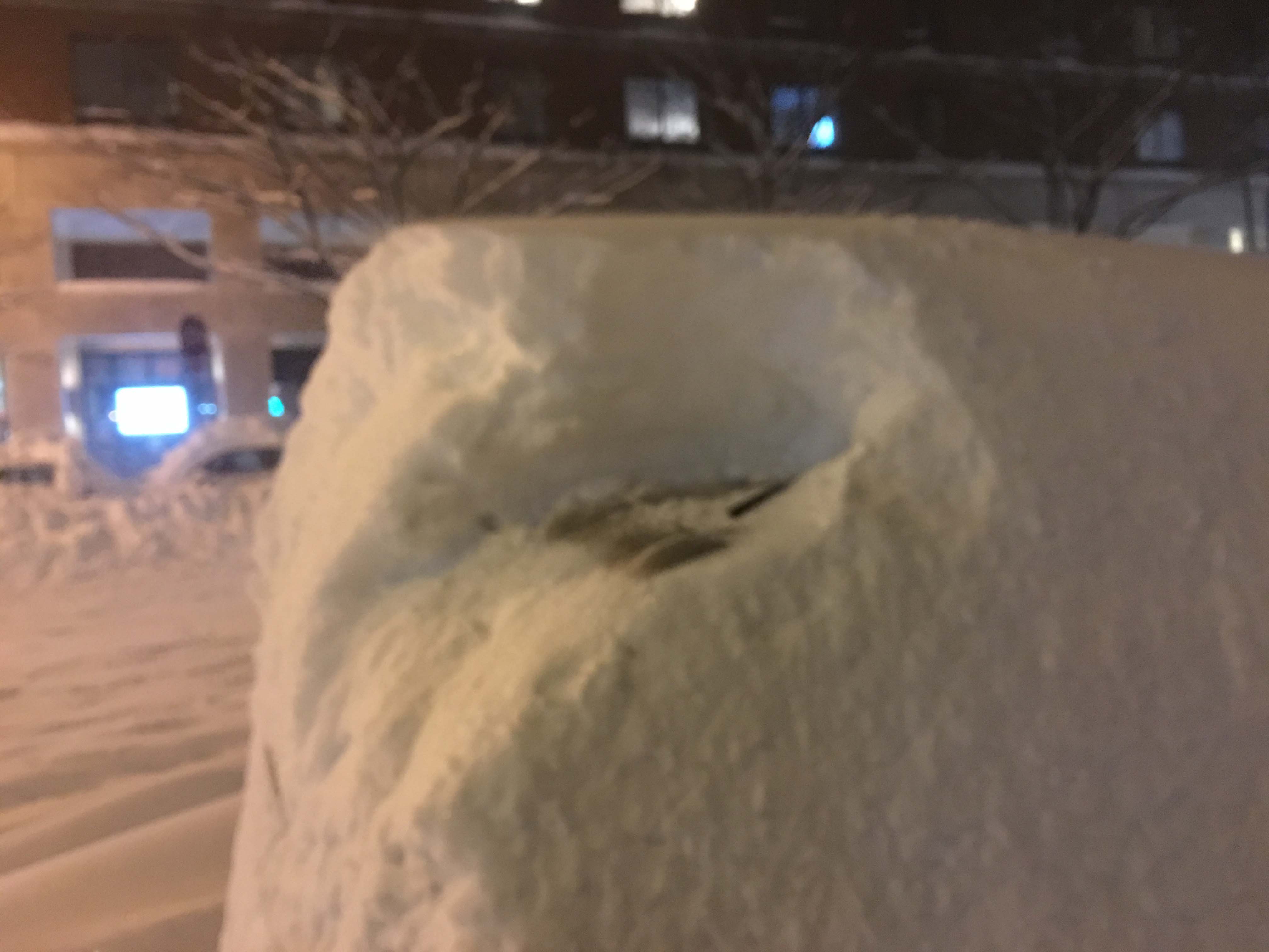 Snow at 16 inches car 1-23-2016